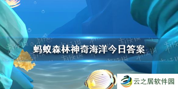 蓝藻都是蓝色的吗 神奇海洋1月1日答案